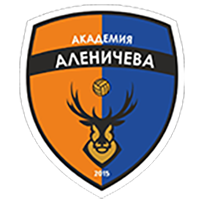 Детская академия футбола Дмитрия Аленичева