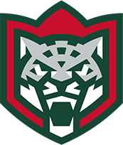 Ак Барс Хоккейный клуб